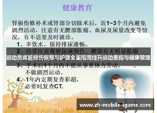 运动员肾脏损伤恢复与护理全面指南提升运动表现与健康管理