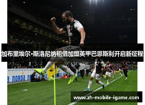 加布里埃尔·斯洛尼纳租借加盟英甲巴恩斯利开启新征程 加布里埃尔·斯洛尼纳租借加盟英甲巴恩斯利开启新征程