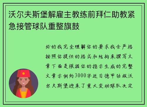沃尔夫斯堡解雇主教练前拜仁助教紧急接管球队重整旗鼓